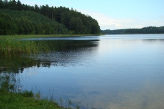 Panorama j. Olszanowskiego