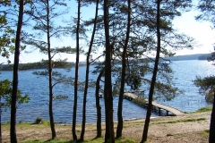 Zdjecie zrobione z lasu. Przez drzewa widać jezioro Krępsko i mostek drewniany.