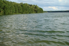 J. Bielsko