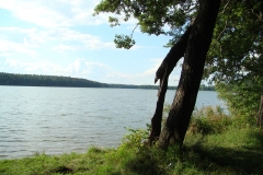 Fragment linii brzegowej j.  Bielsko