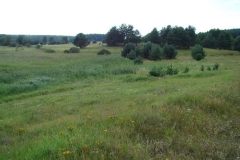 Urozmaicony karajobraz