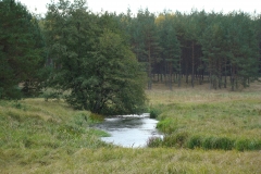Fragment górnego biegu rzeki Białej