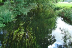 Rzeka między Radzewem a Bielica